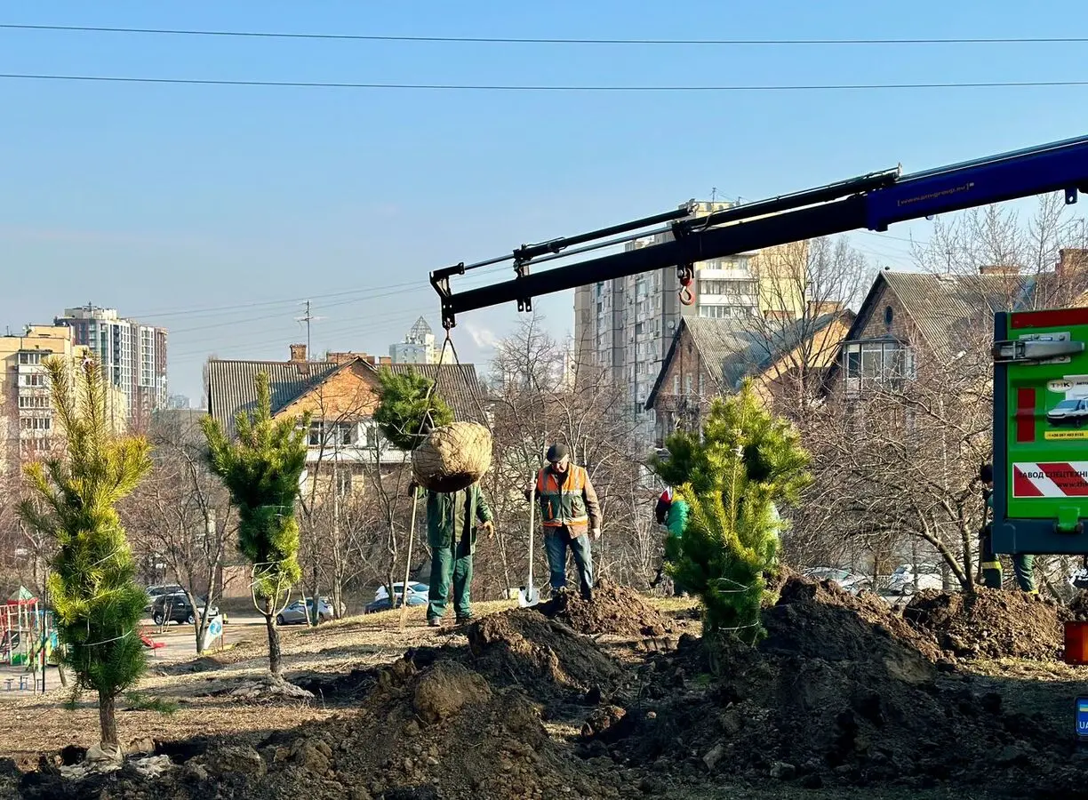 Оновлення озеленення столиці: висадка нових дерев у Святошинському районі