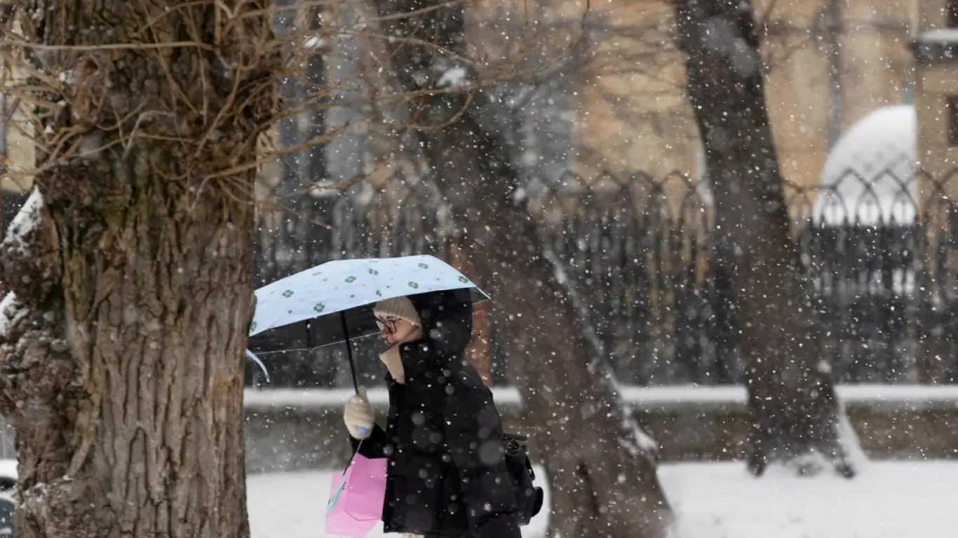Під Києвом випав перший сніг сезону: мешканці діляться фото