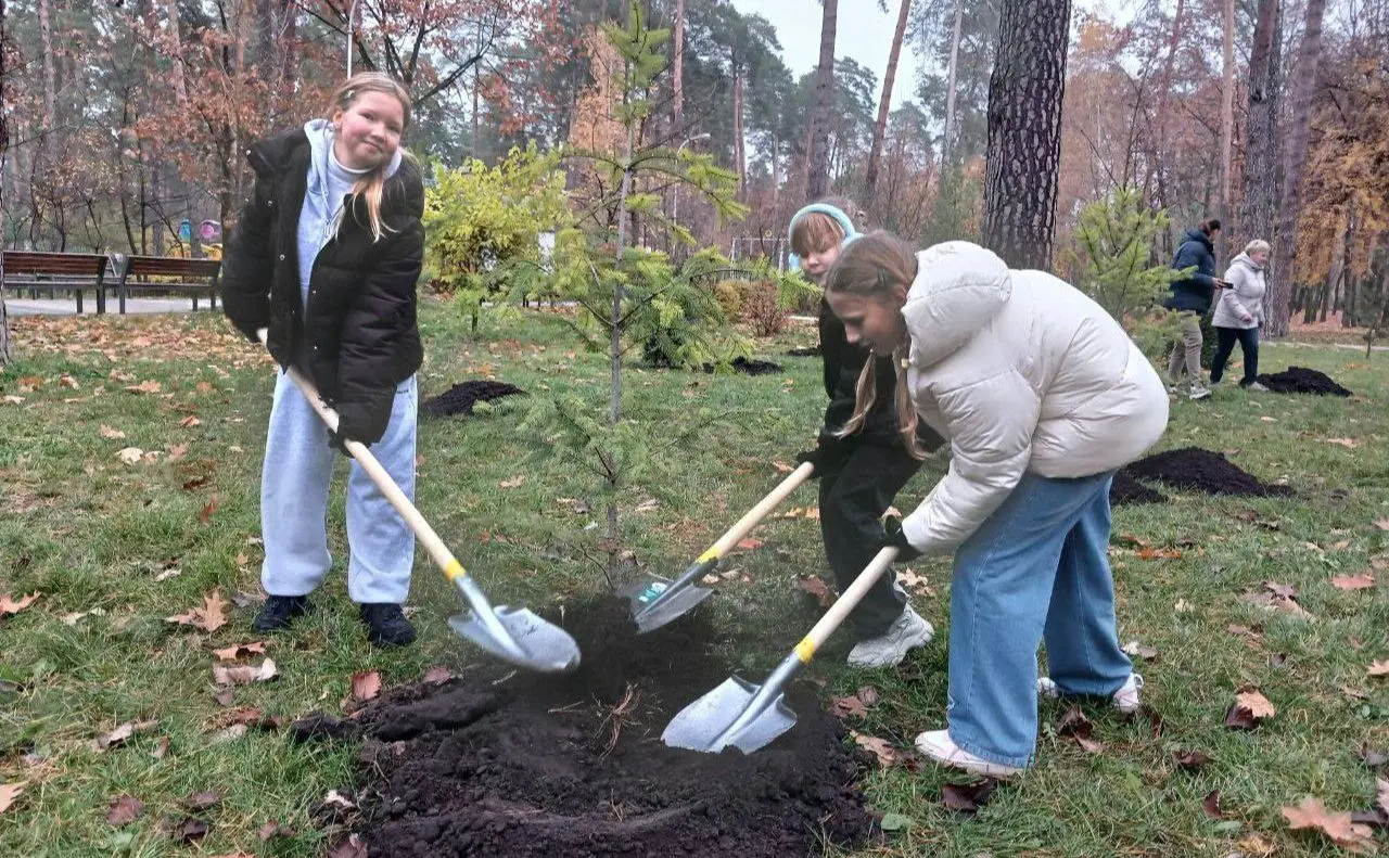 У парку Партизанської слави висадили нові сосни, ялини та магнолії