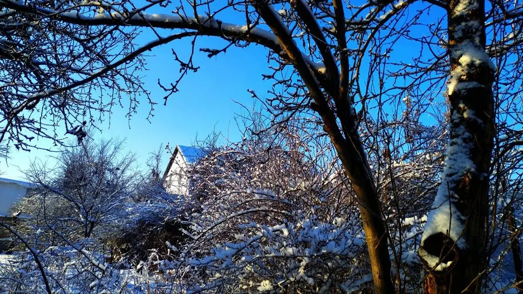 У Києві та області очікується потепління: відлига, сніг і дощ