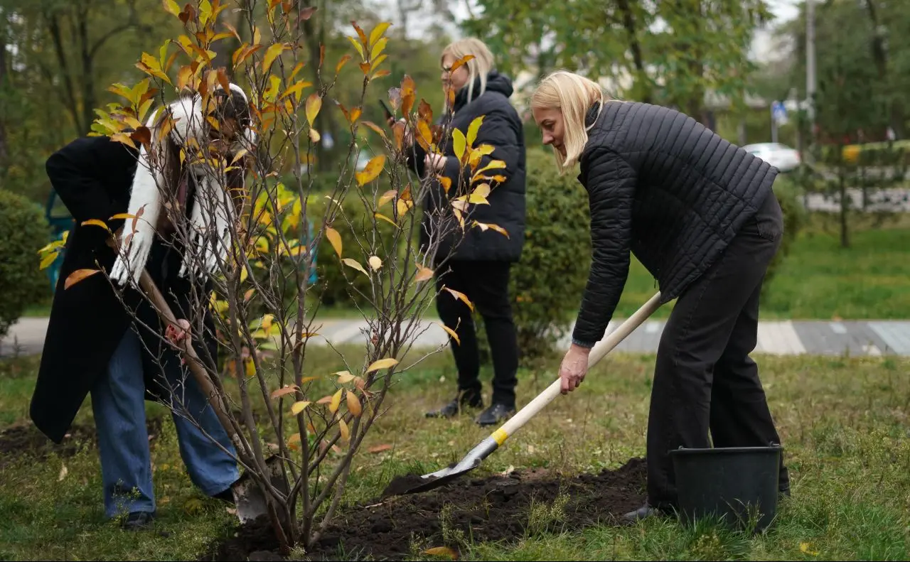 У Києві висадили Алею пам’яті дітей, життя яких забрав рак