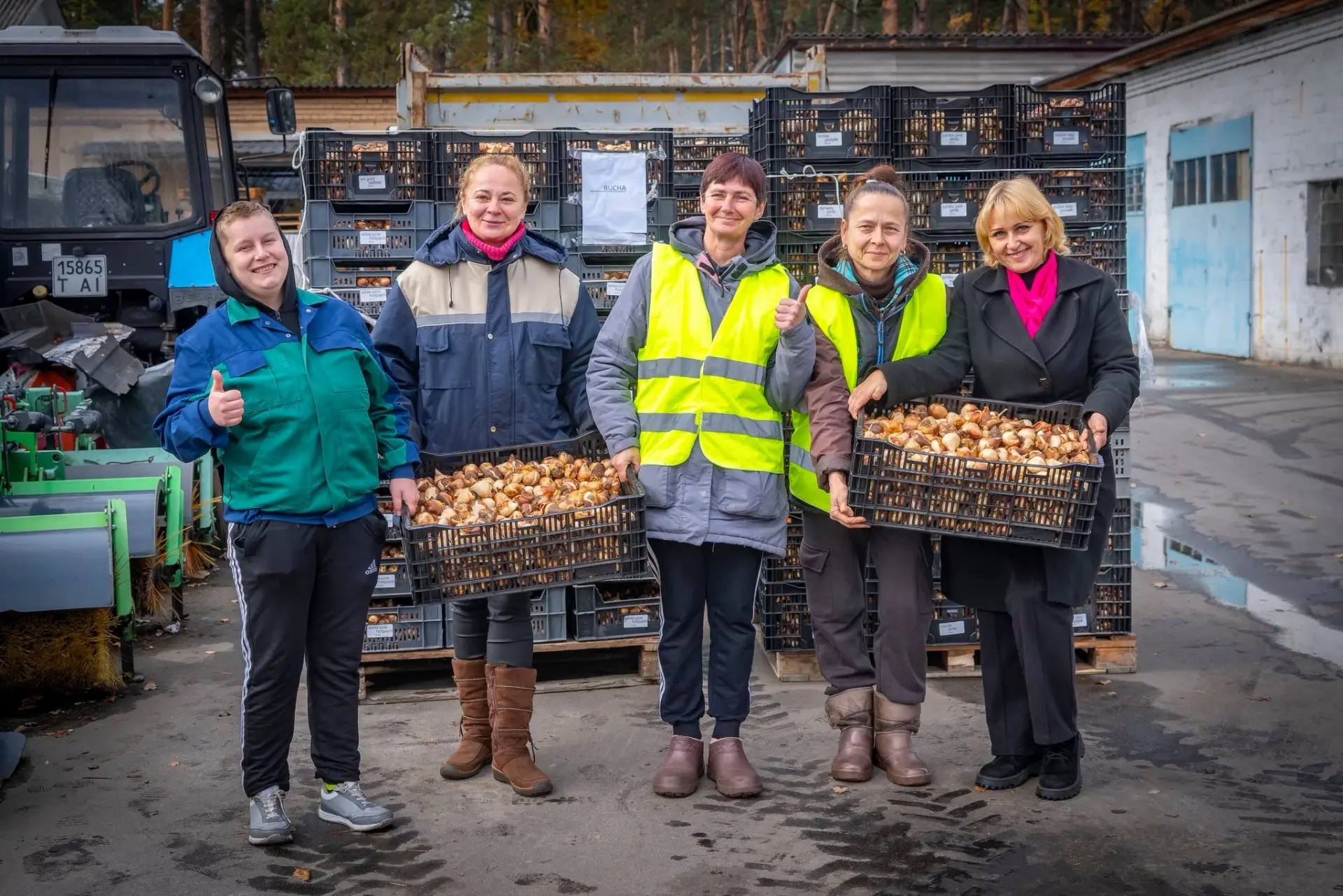 Буча отримала від Нідерландів 100 тисяч тюльпанів: традиція триває третій рік