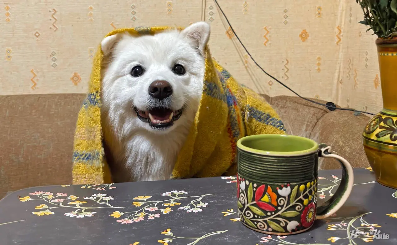 У Києві 29 жовтня розпочнеться опалювальний сезон у житлових будинках