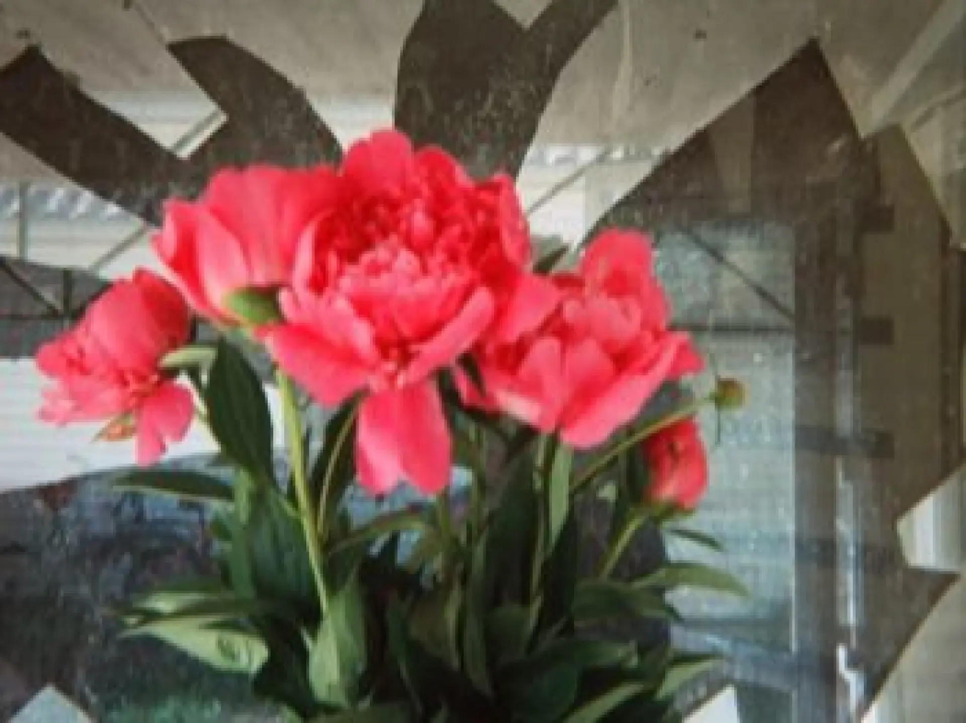 У Києві відкрили фотовиставку «Навіть тут цвітуть квіти»: війна очима тих, хто залишився біля фронту