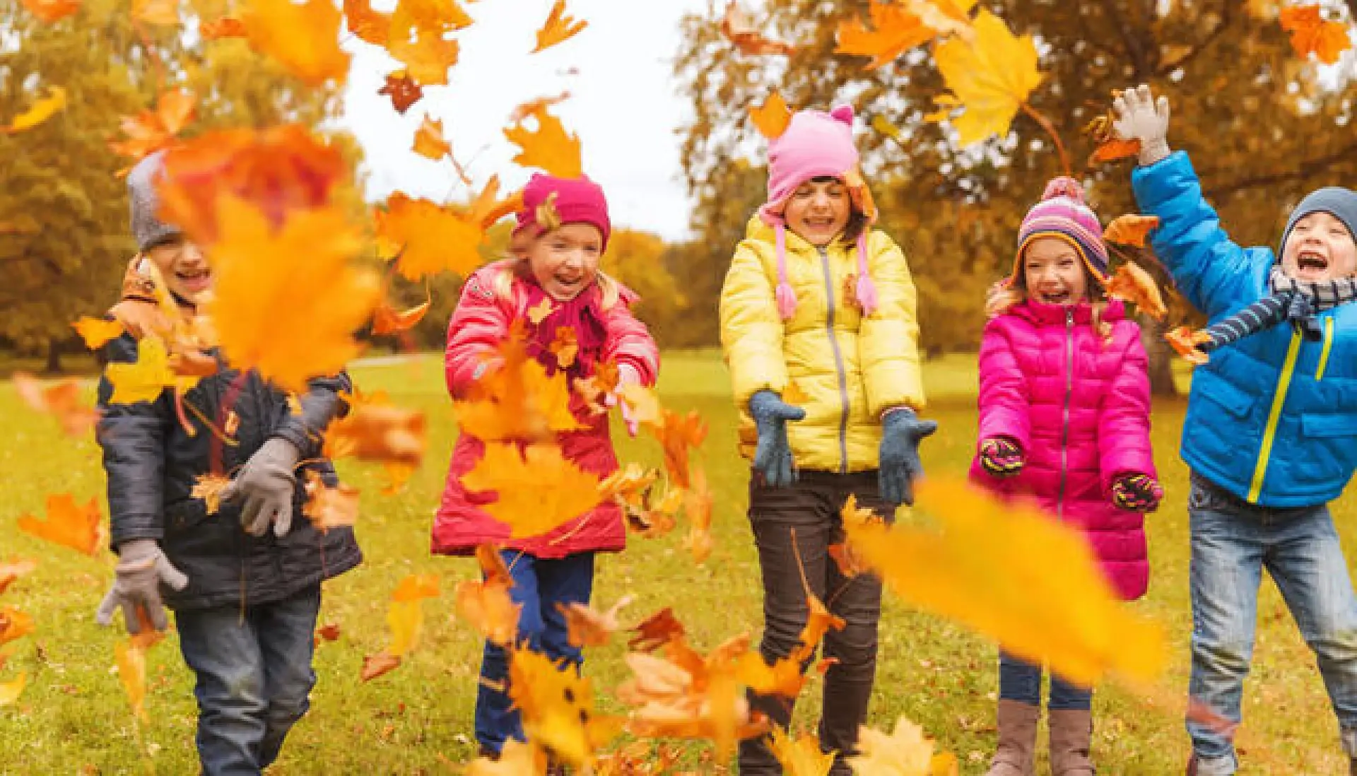 У київських школах з 27 жовтня розпочнуться осінні канікули