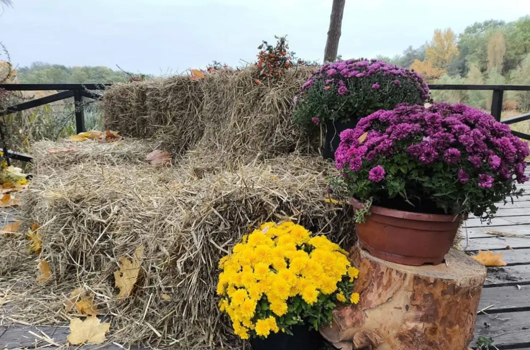 “Казкова” осінь у смартфоні: у Києві відкрили нову фотозону