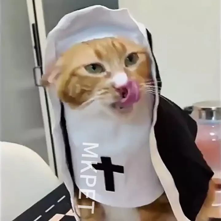 Костюм монахині для котів та малих собак