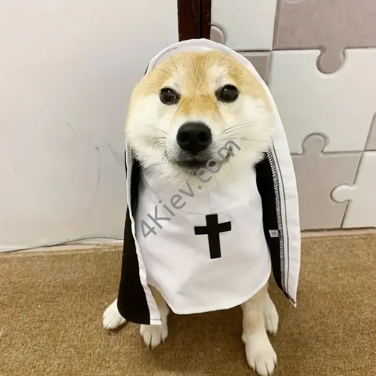 Костюм монахині для котів та малих собак