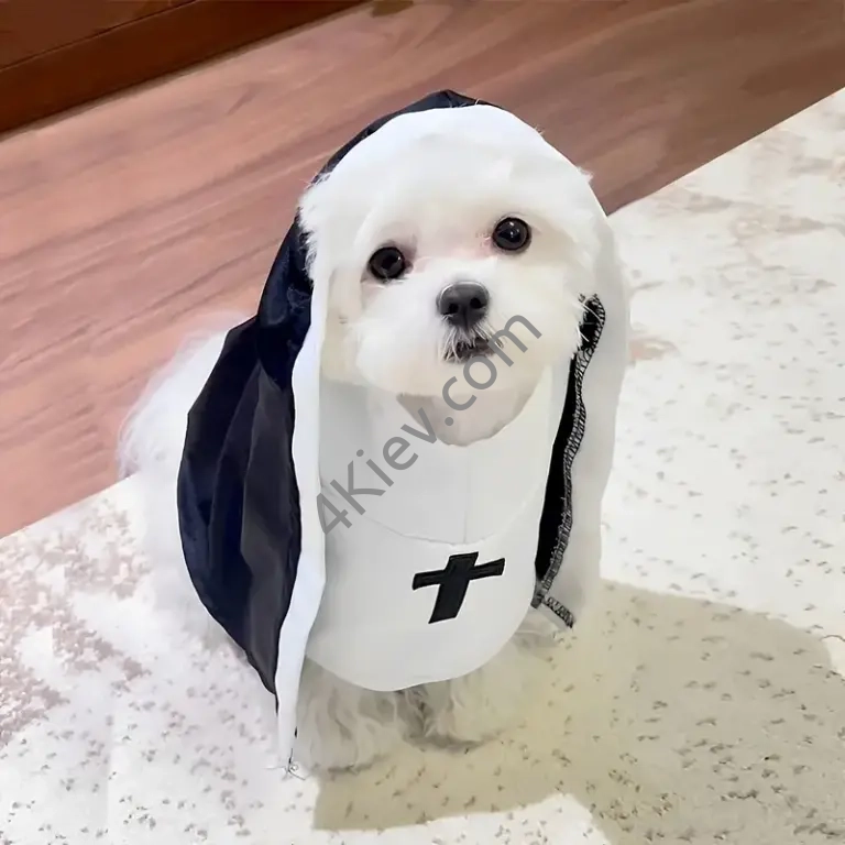 Костюм монахині для котів та малих собак