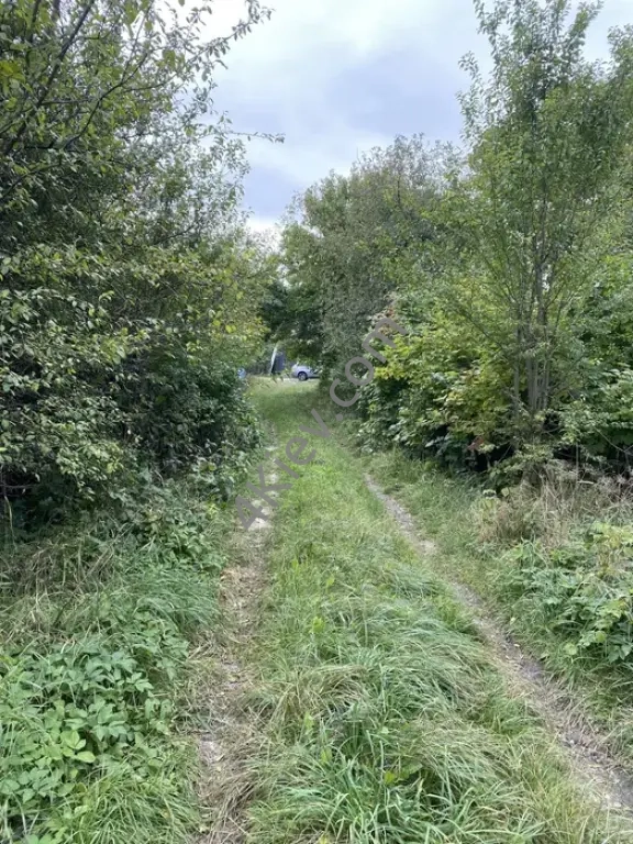 Продаж земельна ділянка під забудову 6 соток Буча