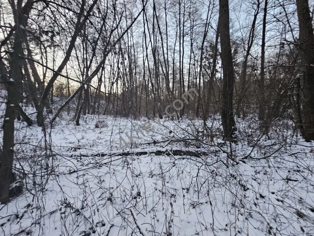 Ділянка 80 сот в лісі, біля лісу, поруч ліс, озеро, Київ 5 км