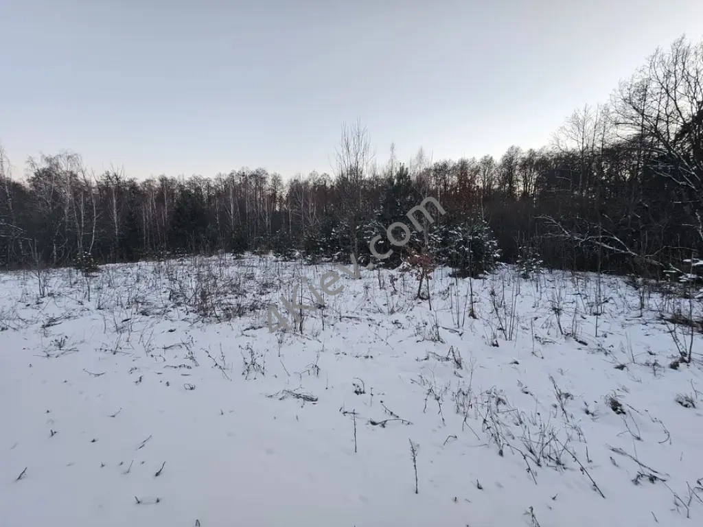 Ділянка 80 сот в лісі, біля лісу, поруч ліс, озеро, Київ 5 км