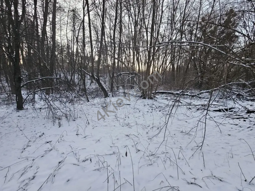 Ділянка 80 сот в лісі, біля лісу, поруч ліс, озеро, Київ 5 км