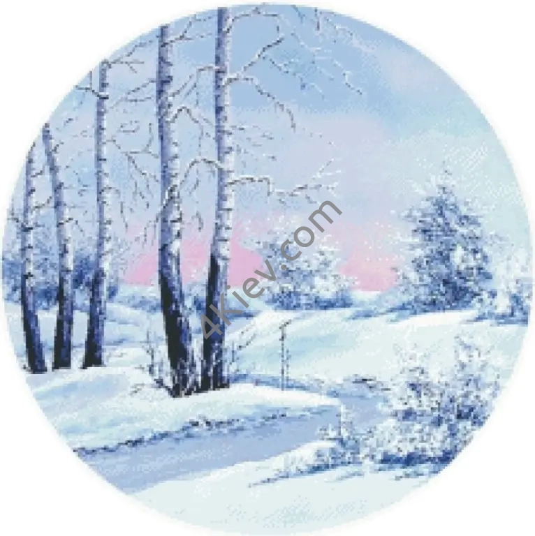 Коло. Зима в березовому лісі