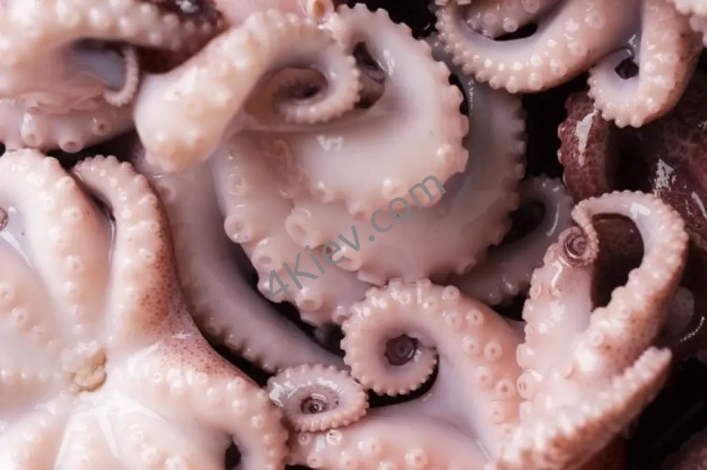 Восьминіг охолоджений