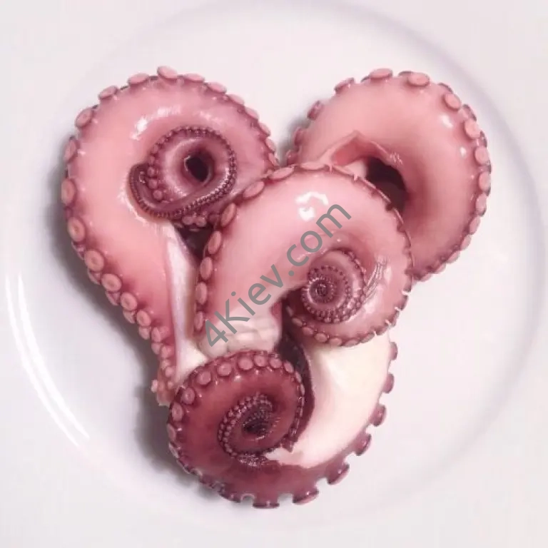 Восьминіг охолоджений