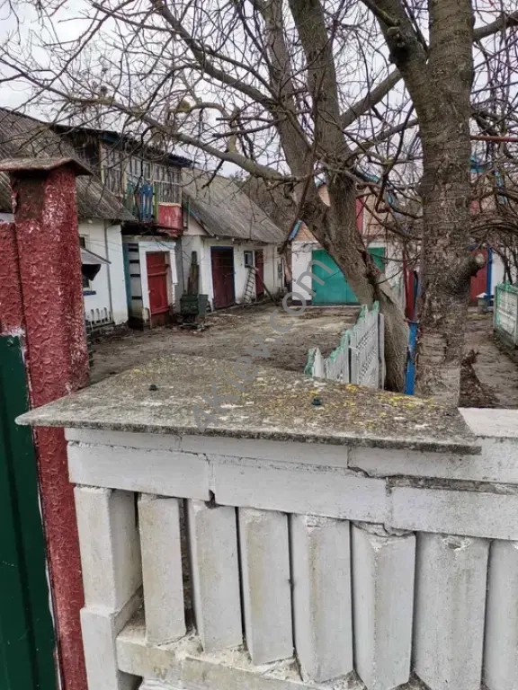 Житловий будинок біля лісу