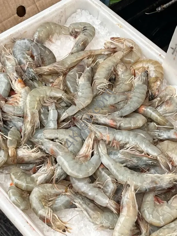 Заморожені креветки