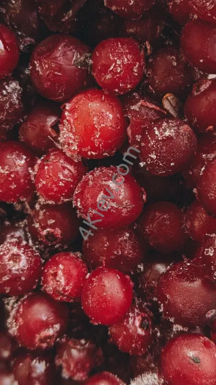 Заморожена журавлина