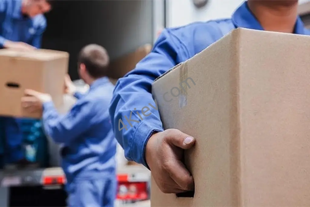 Укладальник-пакувальник