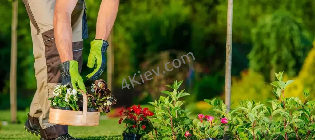 Зізноробочий в розсадник рослин