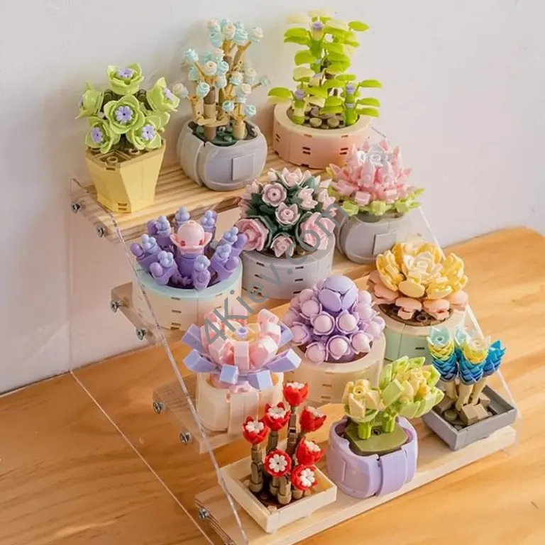 Miniature Building Block Everlasting Plants