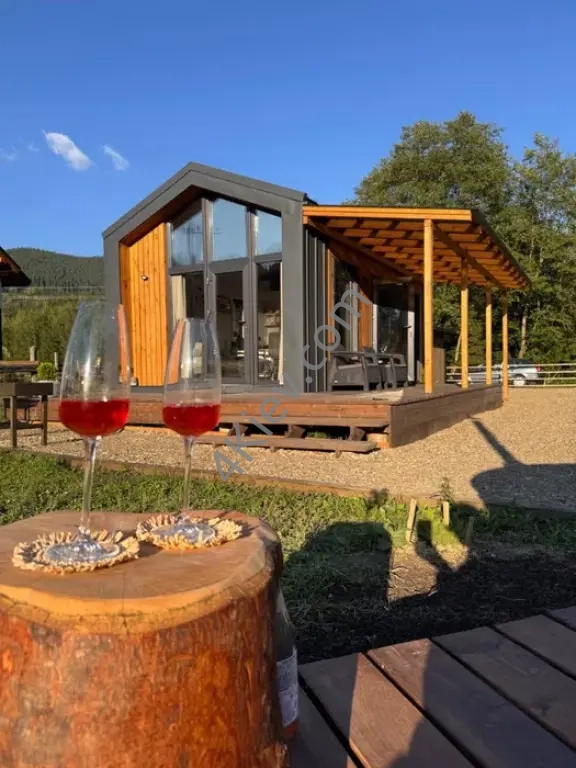 Оренда будинку в лісі