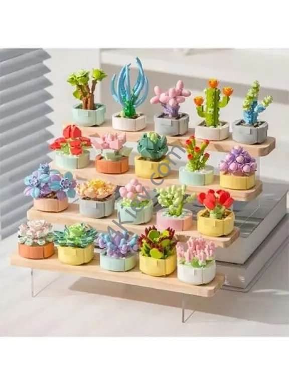 Miniature Building Block Everlasting Plants