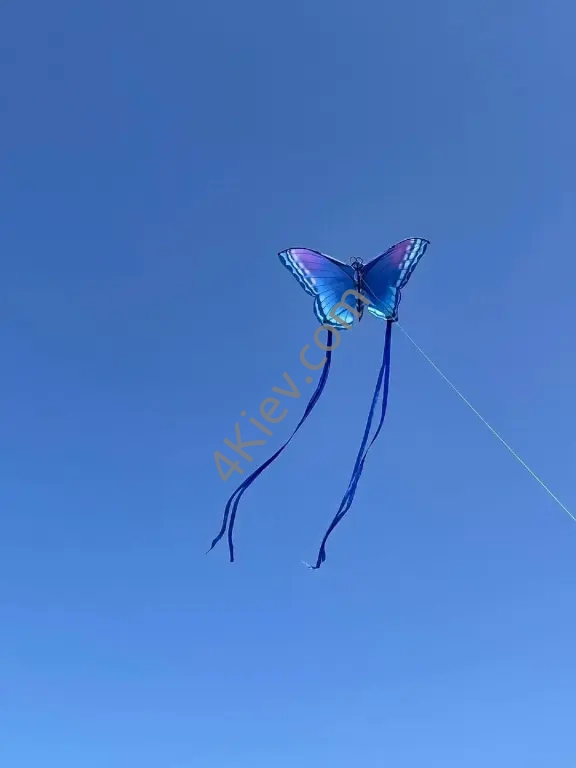 Повітряний змій «Метелик»